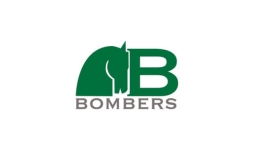 Bombers Gebisse 